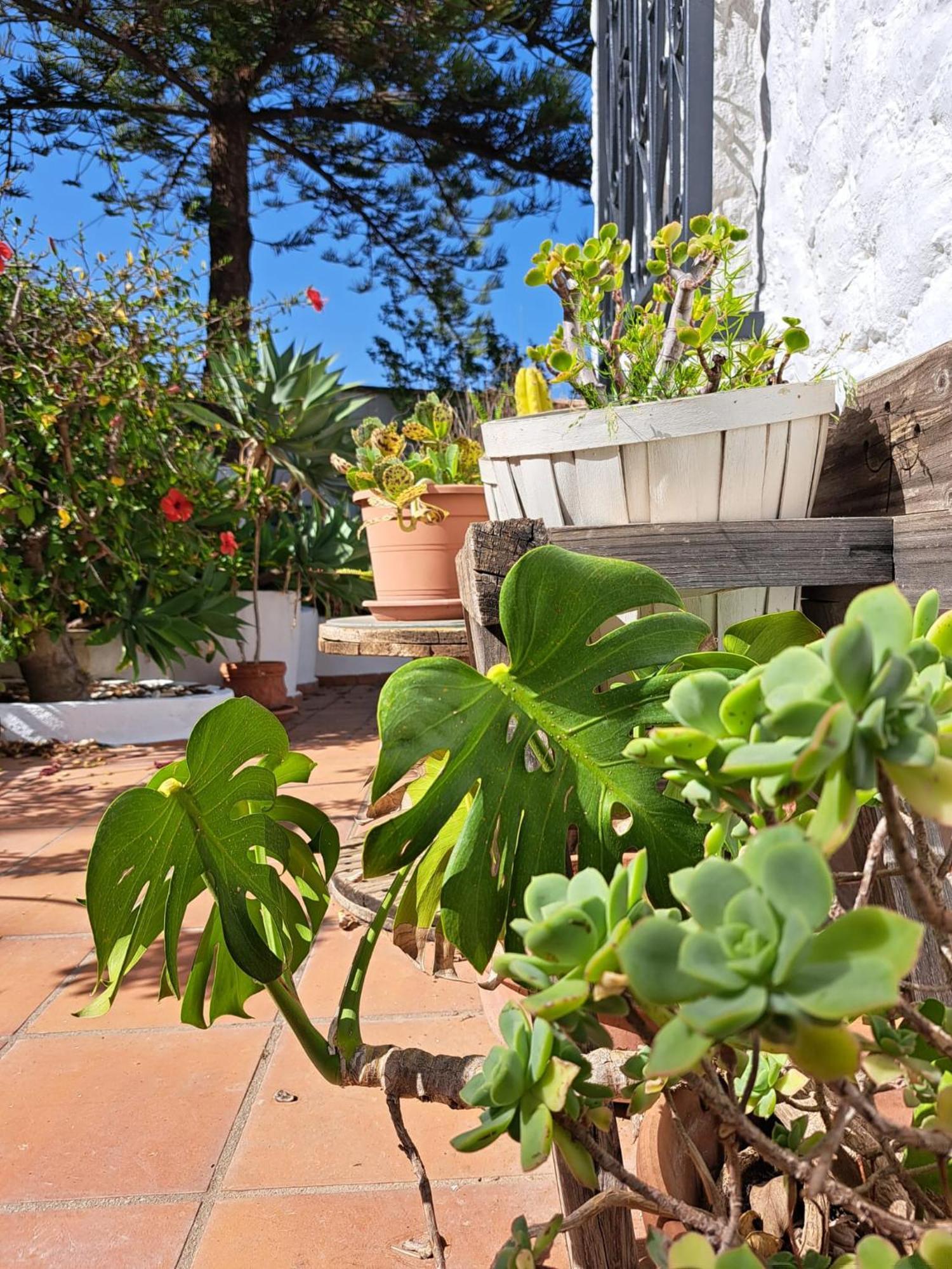 Casa Campo Mijas Costa Del Sol Málaga Kültér fotó